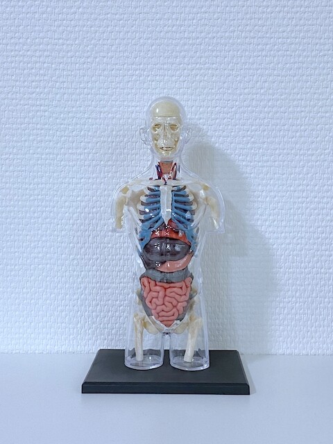 2021-03-28 17.51.50