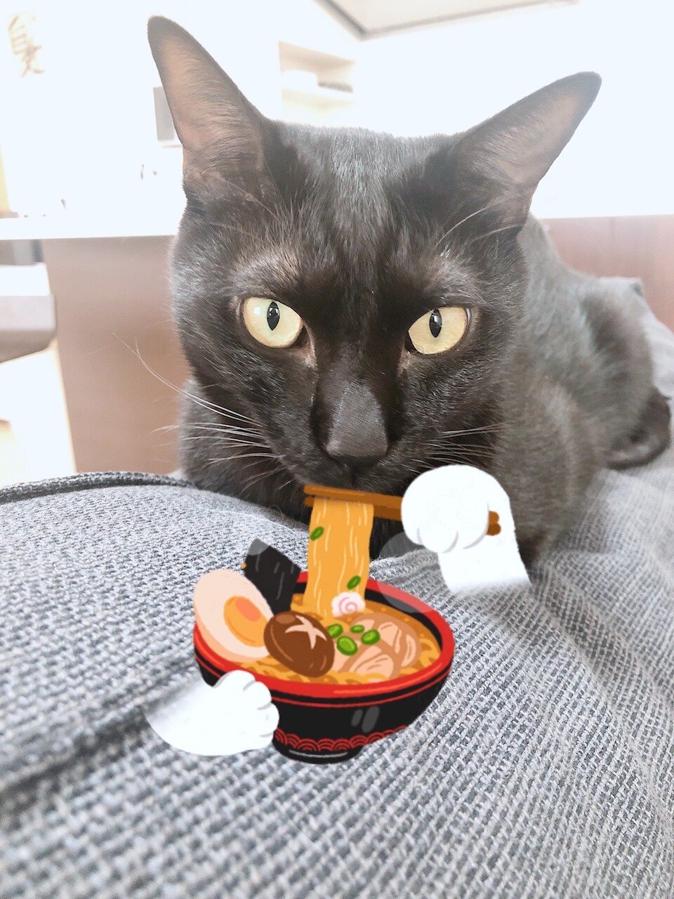 2019-12-03 15.29.41のコピー