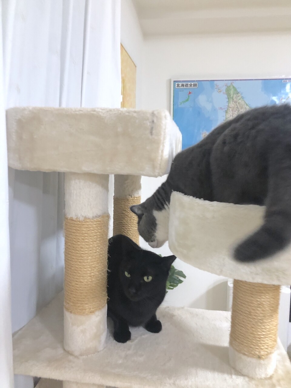 2019-12-09 20.59.25-1