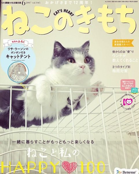 19