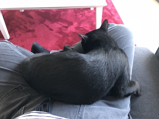 2018-08-22 15.55.50