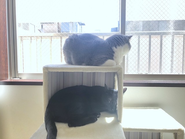 2019-04-20 10.26.24