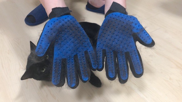 2019-06-02 20.11.52-1