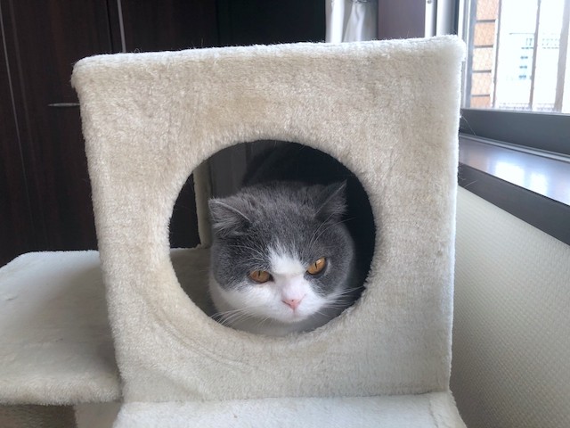2019-05-20 00.05.37