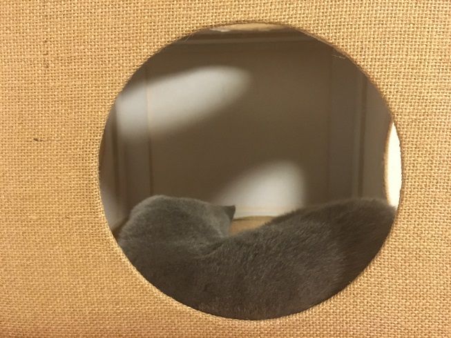 00