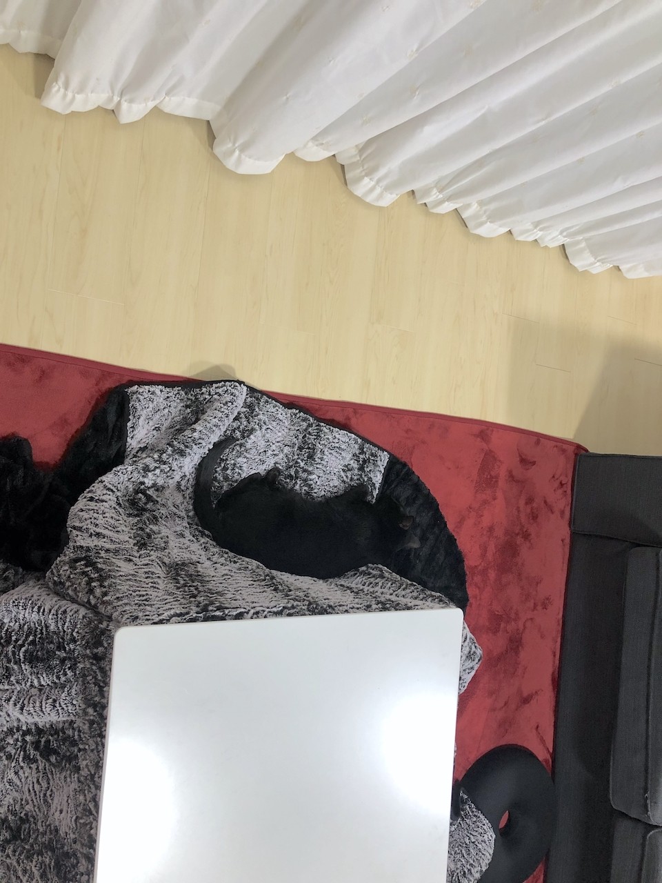 2019-10-29 23.44.05