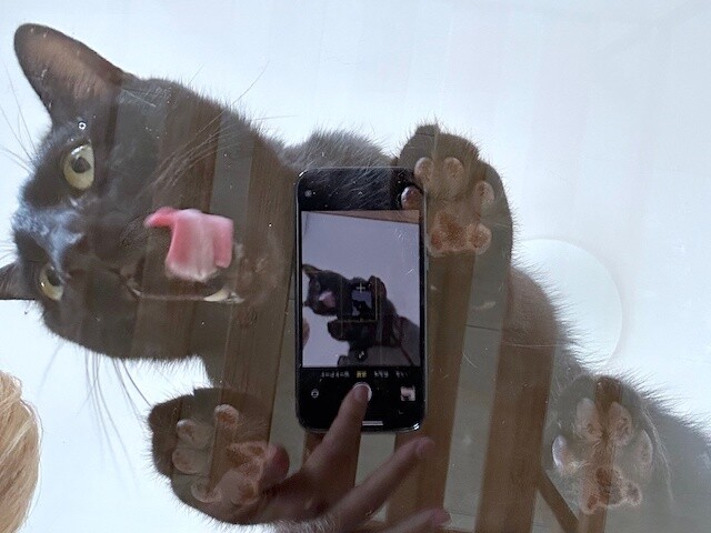2022-11-21 09.53.48