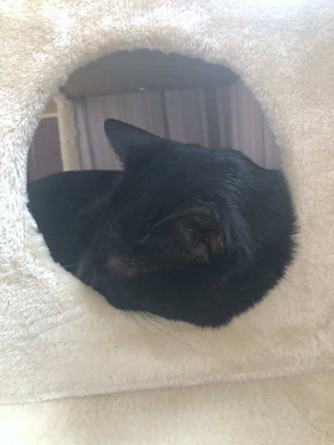 2019-07-23 16.49.33