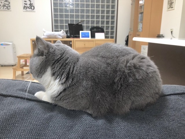 2019-03-22 22.56.52