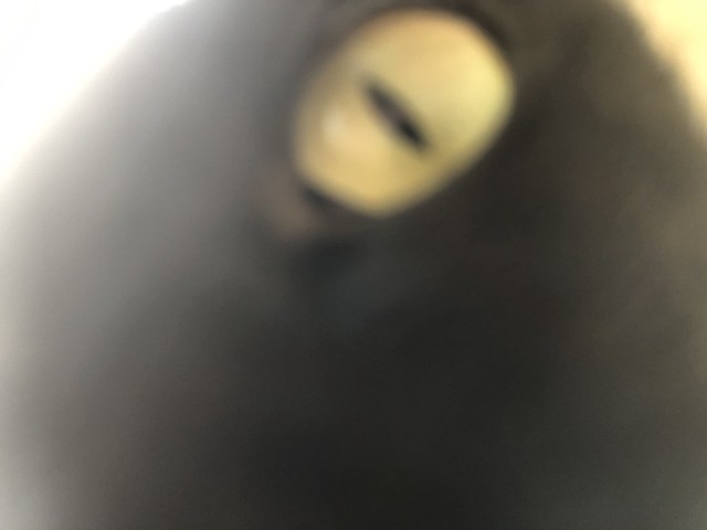 2019-06-22 10.01.14