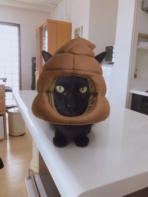 2019-07-05 09.04.47