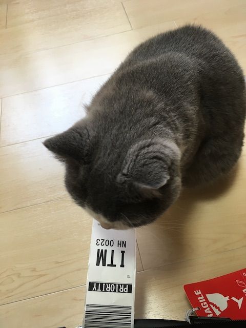 45