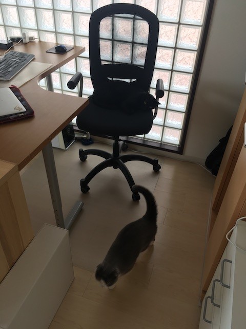 2018-07-13 13.55.48