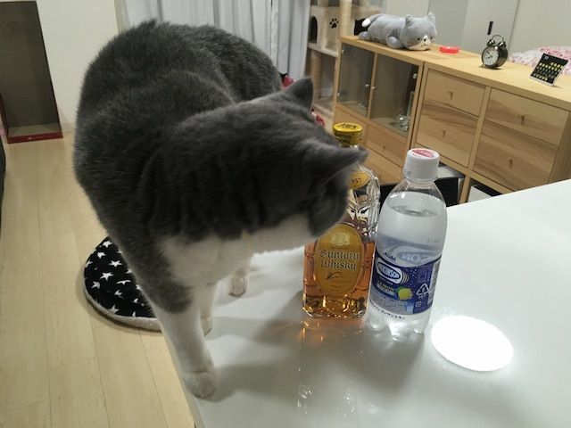 47