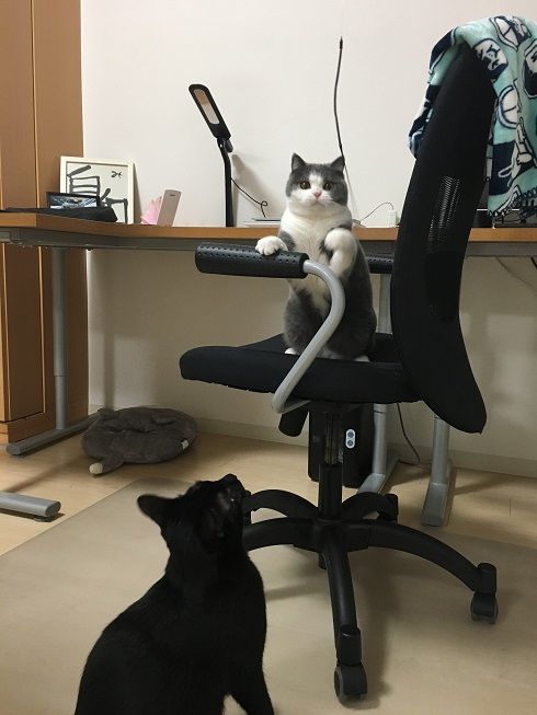 19