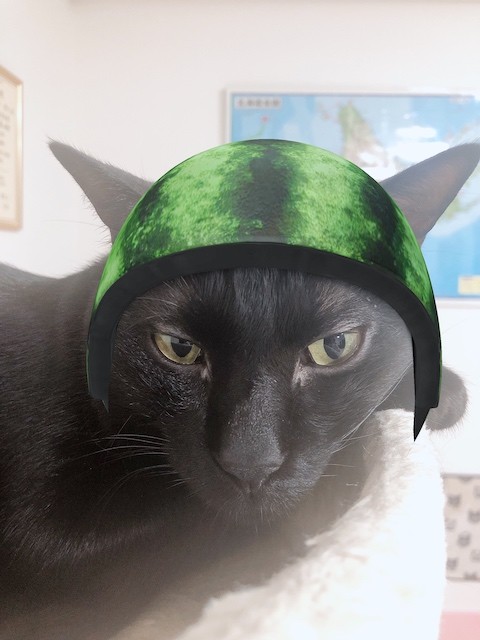 2019-08-01 23.47.17