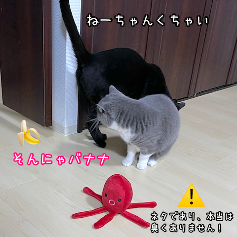 2022-04-23 20.52.46