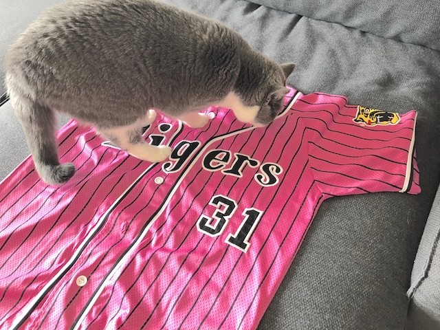 42