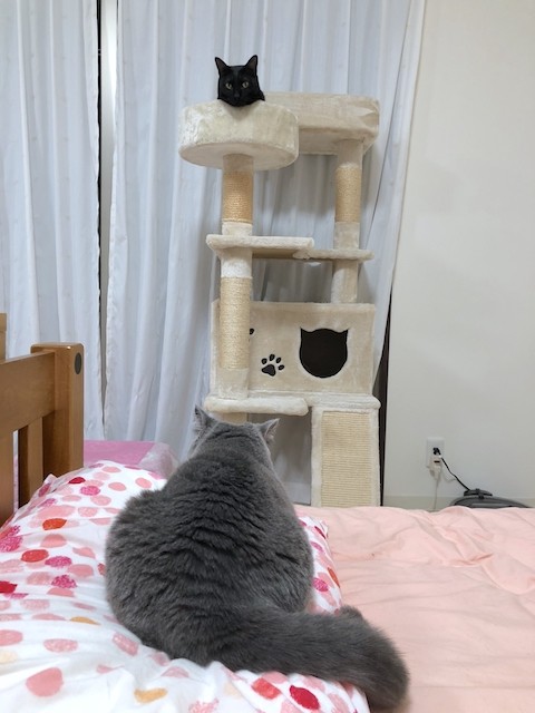 07