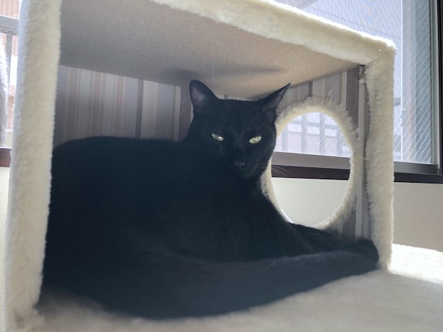 2018-06-30 09.49.53