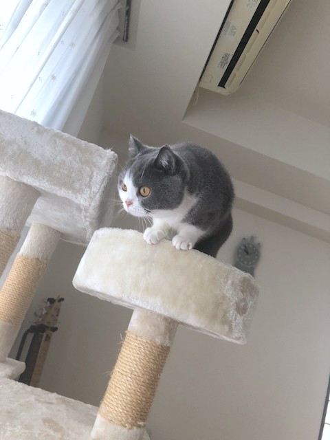 2018-10-10 09.52.44