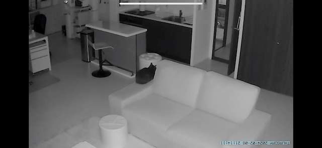 2024-02-08 21.14.10