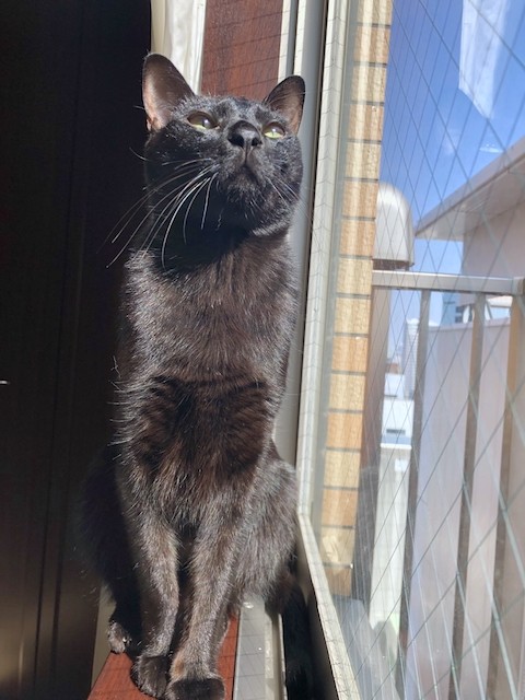 2019-03-05 10.45.45 HDR