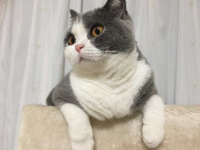 42