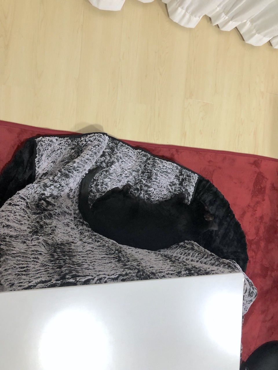 2019-10-29 23.44.09