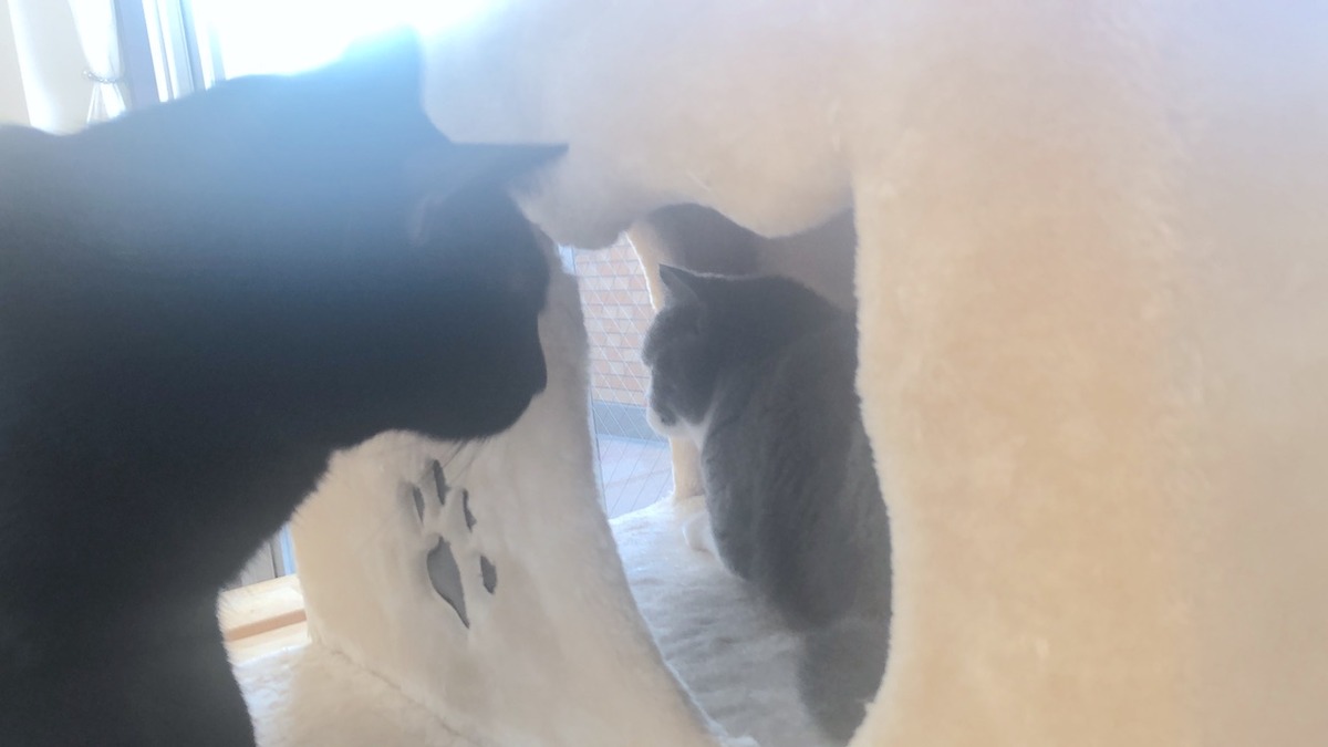 2019-10-27 11.29.01