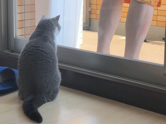2019-08-11 07.47.38
