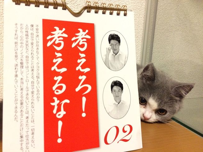27