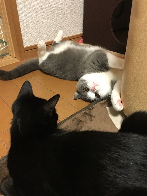 04