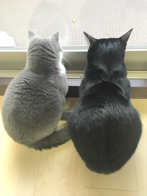 2017-12-08 16.24.21