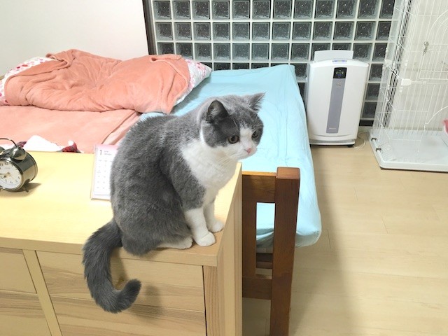 08