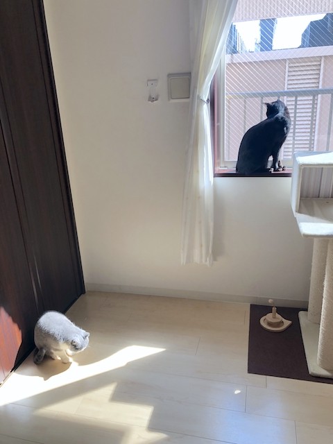 2019-03-05 10.44.16 HDR