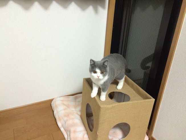 00