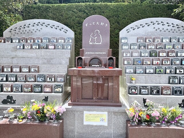 2025-05-11 12.11.25