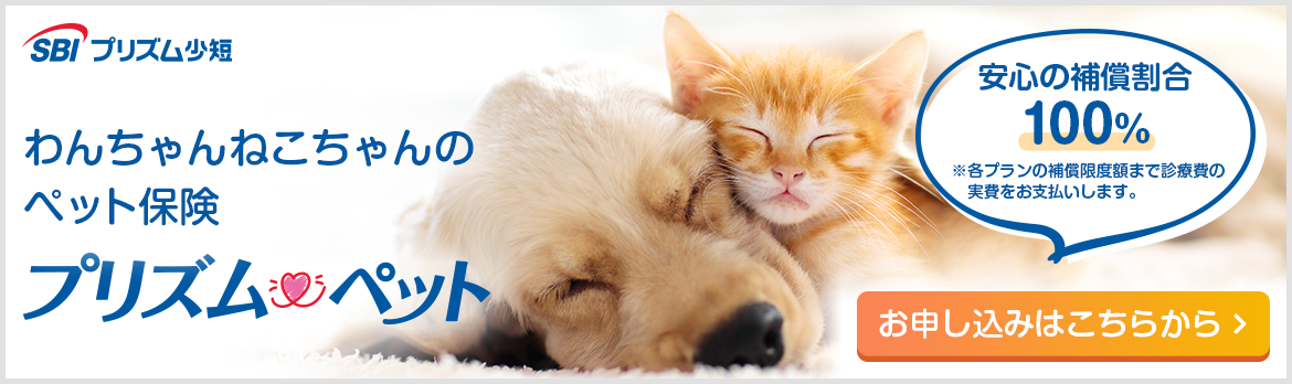 プリズムペット保険バナー